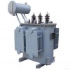熱電廠設備升級改造工程主變壓器招標公告