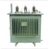 油浸式變壓器 jshc-37w