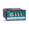 ADIP300-88CR 智能數(shù)顯表