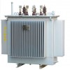 S13-M(R)-68YH 配電變壓器