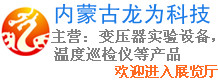 內(nèi)蒙古龍為科技有限公司