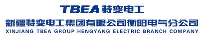 新疆特變電工集團(tuán)有限公司衡陽電氣分公司