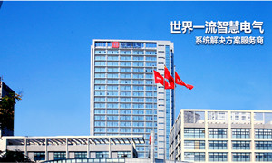 輸配電裝備制造業(yè)中的排頭兵---中國(guó)西電集團(tuán)公司