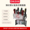ZW32預付費高壓計量真空開關(guān)ZW32P-12